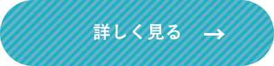 詳しく見る